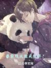 谁家顶流摆成这样?