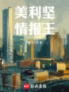 �������鱨��